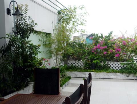 Trang trí vườn cảnh trong nhà phố