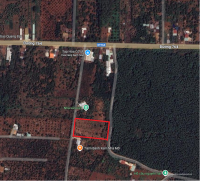 Bán vườn sầu riêng 3 năm  gần sân bay Long Thành tiện làm nhà vườn nghỉ dưỡng