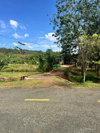 bán vuờn nghỉ dưỡng có cây ăn trái, ao nuôi cá - 720tr viêw chill