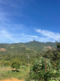 BÁN ĐẤT MẶT TIỀN QUỐC LỘ 20 – SUỐI BAO ĐẸP | Đạ Huoai