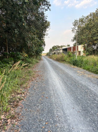 Cần bán đất chính chủ diện tích 1100m2