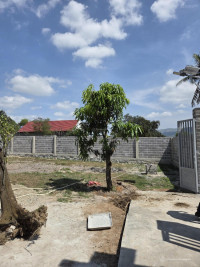 Bán 2 lô đất full thổ cư, tổng 300m2, ngang 10m, nở hậu. Tân Khánh, Suối Tiên