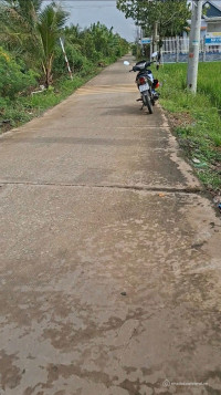 Đất thổ lúa đường xe hơi tại Cần Giuộc, Long An