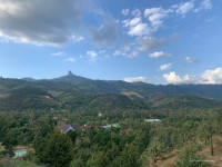 BÁN CỤM TÀI SẢN SINH THÁI – MẶT TIỀN QUỐC LỘ 20 – ĐẠ HƯOAI, LÂM ĐỒNG