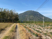 Một siêu phẩm không thể bỏ qua cho các TRÙM phân lô. 117 mét giáp đường Tây Ninh