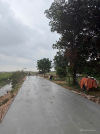 Cần bán lô đất Thôn Quỳnh Bội - Xã Gia Bình - Tỉnh Bắc Ninh