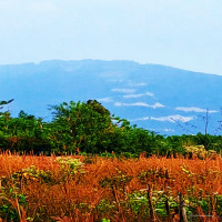 Nền thổ cư 5mx30 mặt tiền nhựa, gần ngã tư Bảo Chánh Xuân Lộc, Đồng Nai