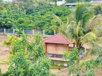 BÁN GẤP LÔ ĐẤT BIỆT THỰ TẠI TRUNG TÂM BẢO LỘC