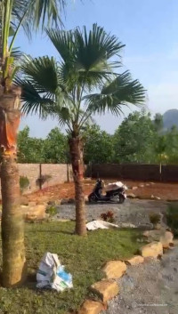 Bán 863m2 đất Đồng Âm, xã Đông Xuân, Quốc Oai (Yên Xuân, Hà Nội) - Lô góc 2 mặt