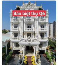 Bán biệt thự tân cổ điển mặt tiền Trần Văn Kiểu, phường 10, quận 6