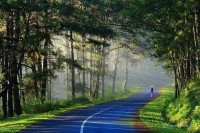 Chuyển nhượng KDL chủ quyền tư nhân trung tâm thành phố Đà Lạt