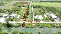1000m2 thổ cư Thủ Thừa LA- SHCC- Đất vuông vức- Đầu tư tích lũy hoặc xây Farm