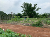 [CHÍNHCHỦ] Cần bán đất, Đất Đỏ,Bà Rịa-Vũng Tàu;1,3triệu/m2