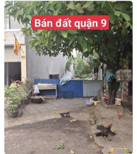 Bán đất mặt tiền đường Gò Cát, phường Phú Hữu, q9 cũ