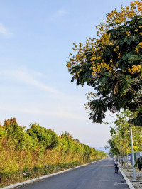 Đất nền Phúc Gia Tân trung tâm Bồng Sơn: giá 1,7 tỷ, 95m2, sổ đỏ công chứng ngay