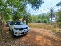 Đất thổ cư gần tiểu học Thạnh Bình, Tây Ninh ngang 9m dài 30m