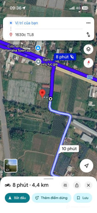   Cho thuê đất sản xuất nông nghiệp 2.600m² – có sẵn nhà trạm và điện nước