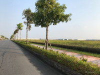 CHUYỂN NHƯỢNG 10.000M² ĐẤT KHU CÔNG NGHIỆP HÒA PHÚ – BẮC NINH, Bàn giao ngay.