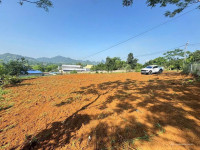 Bán đất Cao Phong, Hòa Bình 976m2 Full thổ cư giá siêu rẻ, chỉ 950tr