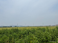 CHUYỂN NHƯỢNG 16.000m² ĐẤT KHU CN QUẾ VÕ 3, LÔ GÓC, BÀN GIAO NGAY.
