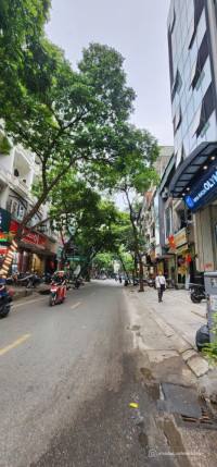 Bán nhà Linh Lang, Đào Tấn. Dt 140m2, Rộng 12m khu VIP, Kdoanh đẳng cấp, Giá 75t
