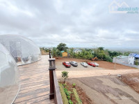 Ngay khu homestay đồi hoàng hôn Nguyễn Hữu Thấu nối dài 30x21m 3,9 tỷ Quỳnh Anh