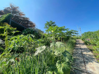 1,2 tỷ sở hữu đất vườn 1.400m² view sông & thung lũng La Ngà
