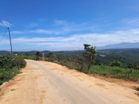 Bán đất Liên Đầm, Di Linh 2.500m² giá 1,2 tỷ – View cao thoáng, gần cao tốc