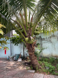 Bán nhà đất 496m2 ngay QL55 gần chợ An Ngãi- xã Long Điền, giá 3.5tỷ
