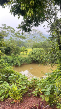  HOT!!!Lô đất siêu rộng gần 1 ha, có 1.162,3 mét vuông đất ở tại xã Đại Phúc