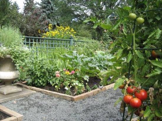 Tạo dáng cho khu vườn xinh xắn