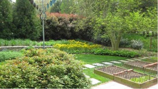 Tạo dáng cho khu vườn xinh xắn