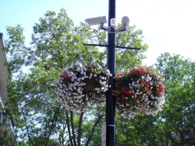 Giỏ hoa treo làm duyên cho ngoại thất