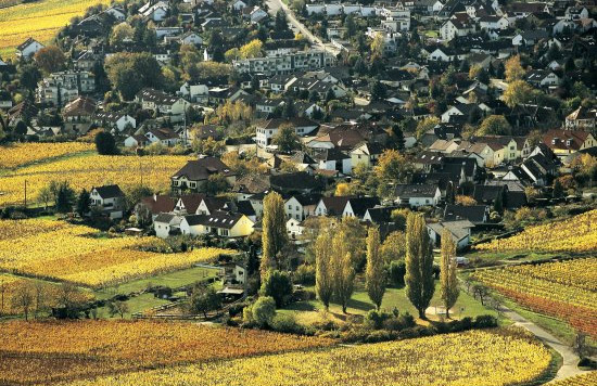 10 ý tưởng du lịch nằm mơ cũng không thấy