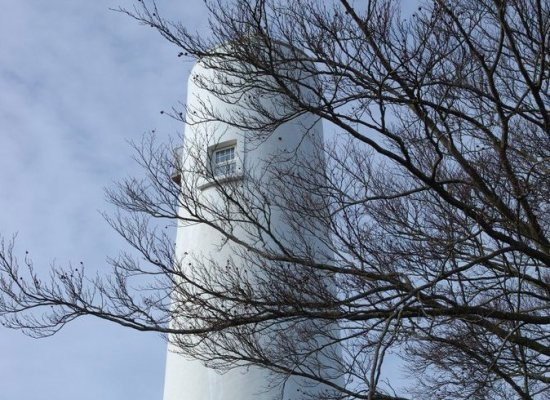 10 ý tưởng du lịch nằm mơ cũng không thấy