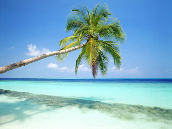 Mê mẩn với thiên đường Maldives rực rỡ