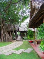 Khí của cuộc đất về cơ bản chính là do Thủy khí tạo nên. Thủy thế có uốn lượn nhu hòa thì mới gia tăng lợi ích cho cư dân. Ngược lại, nhà xây sát bên những con sông lớn mà nước chảy xiết, thẳng tuột hoặc có những khúc cua quẹo gấp thì lại bất lợi vì không phù hợp với nhịp sinh học của con người và sinh vật trong vùng. Tính chất 