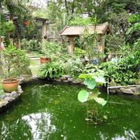 Nước và những giá trị Phong thủy 