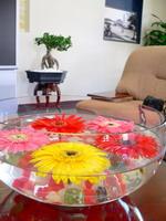 Nước và những giá trị Phong thủy 
