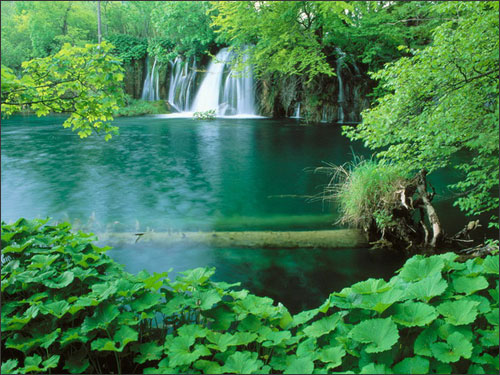 Vườn hồ Plitvice xinh đẹp