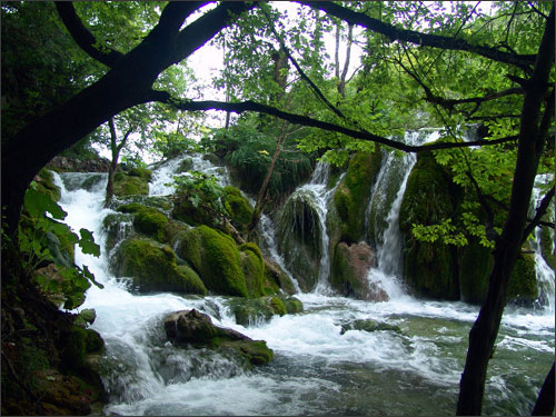 Vườn hồ Plitvice xinh đẹp