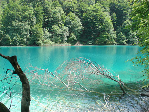 Vườn hồ Plitvice xinh đẹp