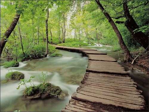 Vườn hồ Plitvice xinh đẹp