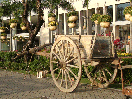 Ngắm miễn phí “hàng
