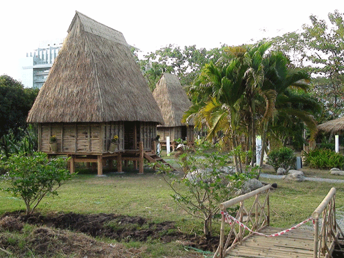 Ngắm miễn phí “hàng