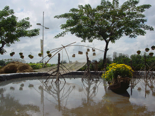 Ngắm miễn phí “hàng