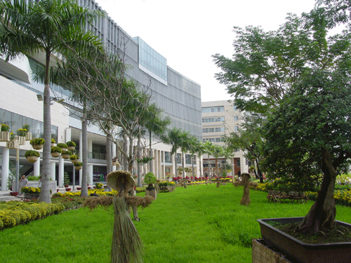 Ngắm miễn phí “hàng