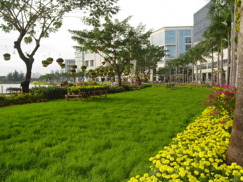 Ngắm miễn phí “hàng