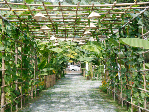 Ngắm miễn phí “hàng