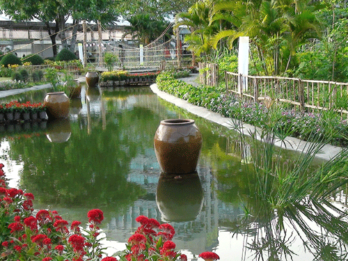 Ngắm miễn phí “hàng